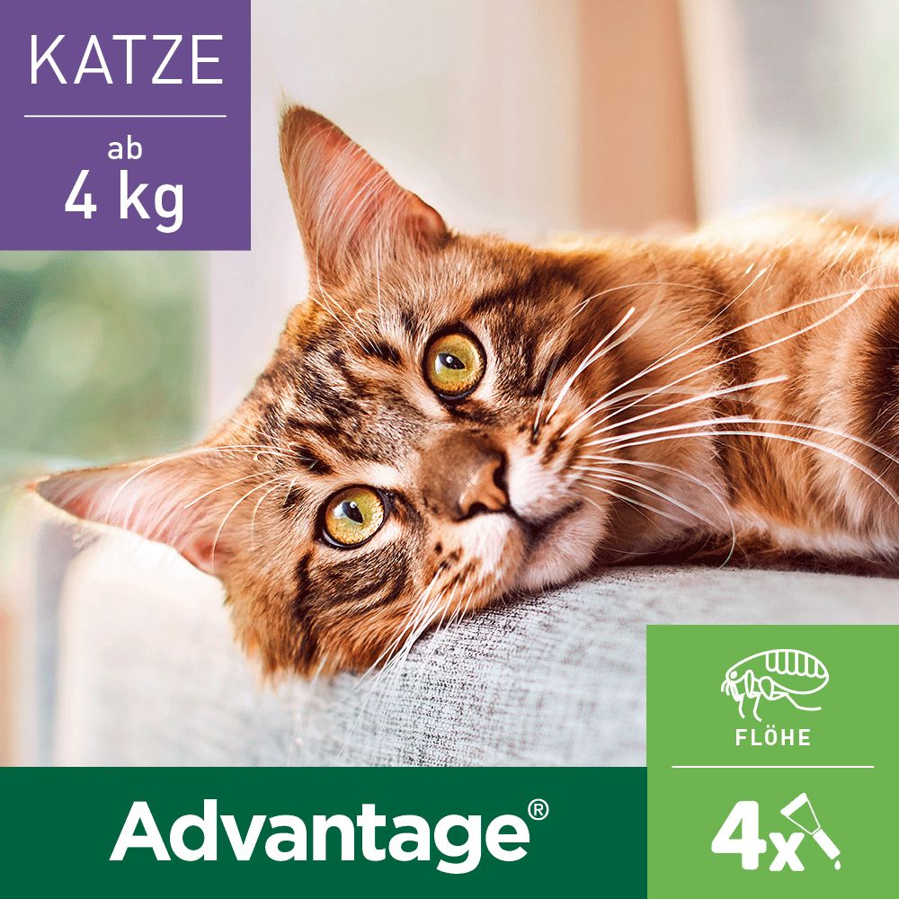 advantage® 80 mg für Katzen und Zierkaninchen über 4 kg