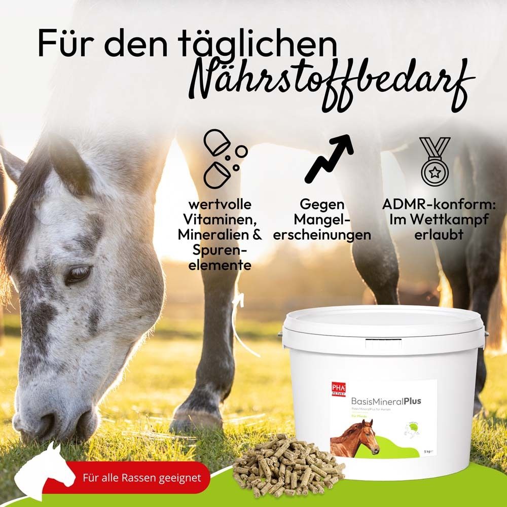 Werbebild mit Pferd. Eimer mit Aufschrift: PHA BasisMineralPlus. Pellets und Icons mit Text.