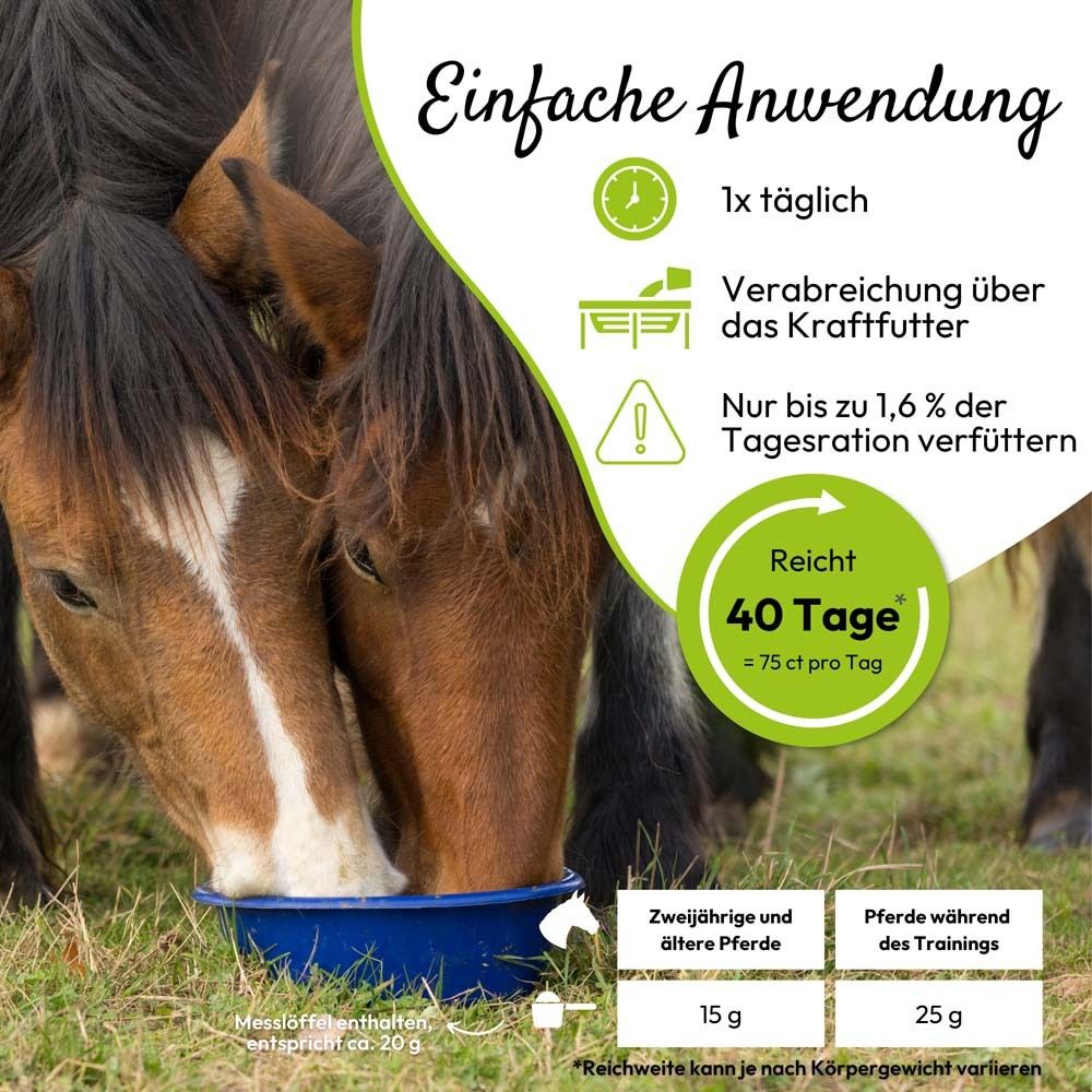 Pferde fressen aus einer blauen Schüssel. Text: Einfache Anwendung. 1x täglich.
