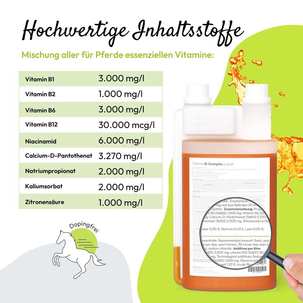 Inhaltsstoffe-Tabelle auf Flasche mit Vitamin-B-Komplex Liquid. Vitamine B1, B2, B6, B12, Niacinamid.