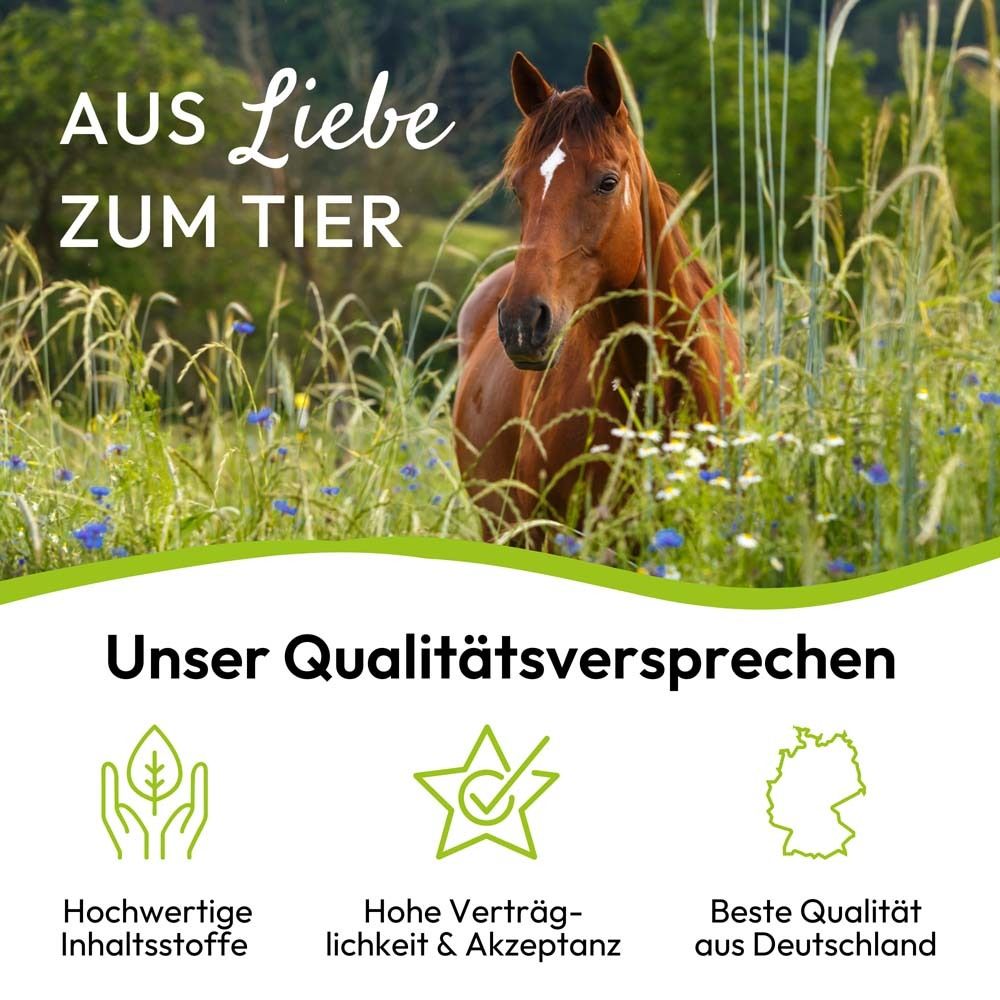 Pferd in Wiese. Text: Hochwertige Inhaltsstoffe, hohe Verträglichkeit, beste Qualität aus Deutschland.