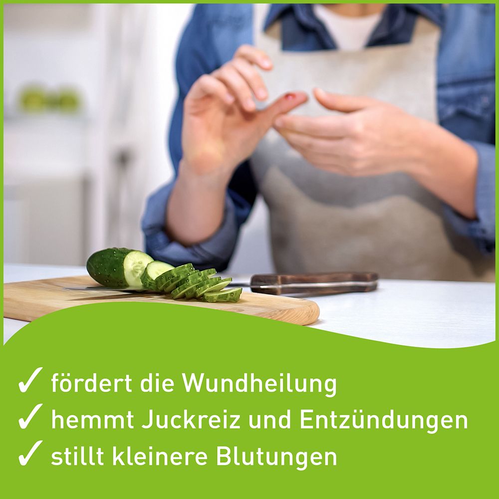 Hametum® Wund- und Heilsalbe