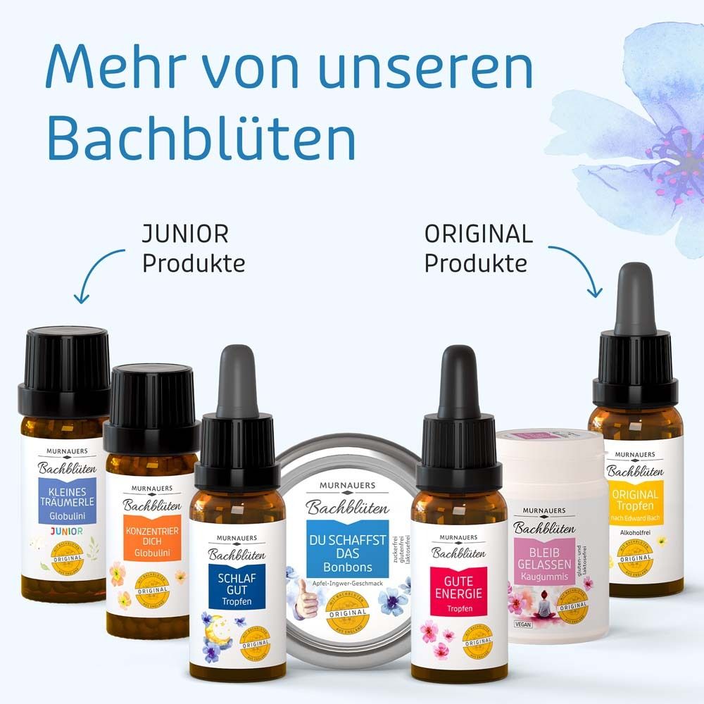 MURNAUERS Bachblüten Du schaffst das Bonbons