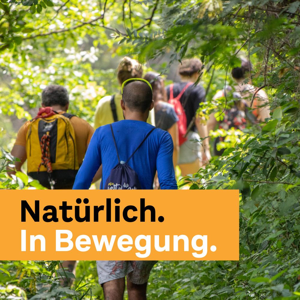 Menschen gehen durch einen Wald. Text: Natürlich. In Bewegung.