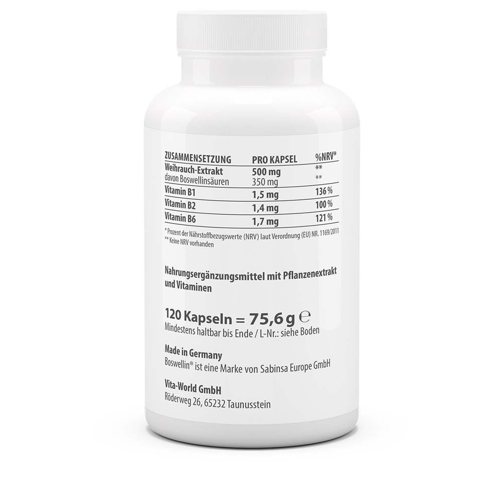 Rückseite der Flasche. Auflistung der Inhaltsstoffe und Nährwerte. 120 Kapseln. Hergestellt in Deutschland.