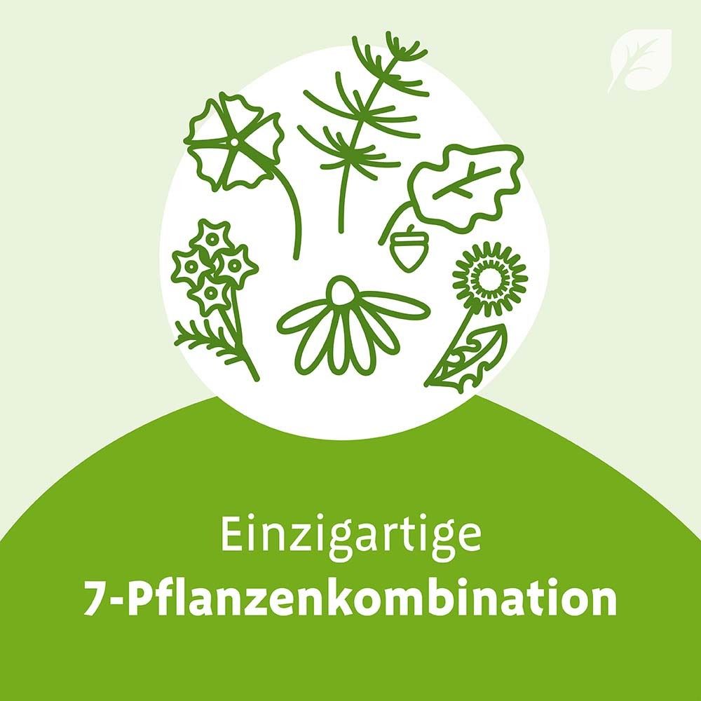 Grafik: 7 Pflanzen. Text: Einzigartige 7-Pflanzenkombination.