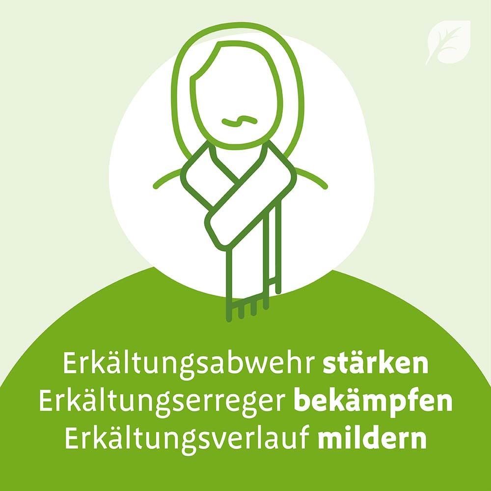 Grafik: Person mit Schal. Text: Erkältungsabwehr stärken, Erkältungserreger bekämpfen, Erkältungsverlauf mildern.