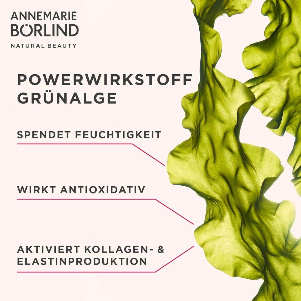 Grünalgen. Text: POWERWIRKSTOFF GRÜNALGE, spendet Feuchtigkeit, wirkt antioxidativ, aktiviert Kollagen.