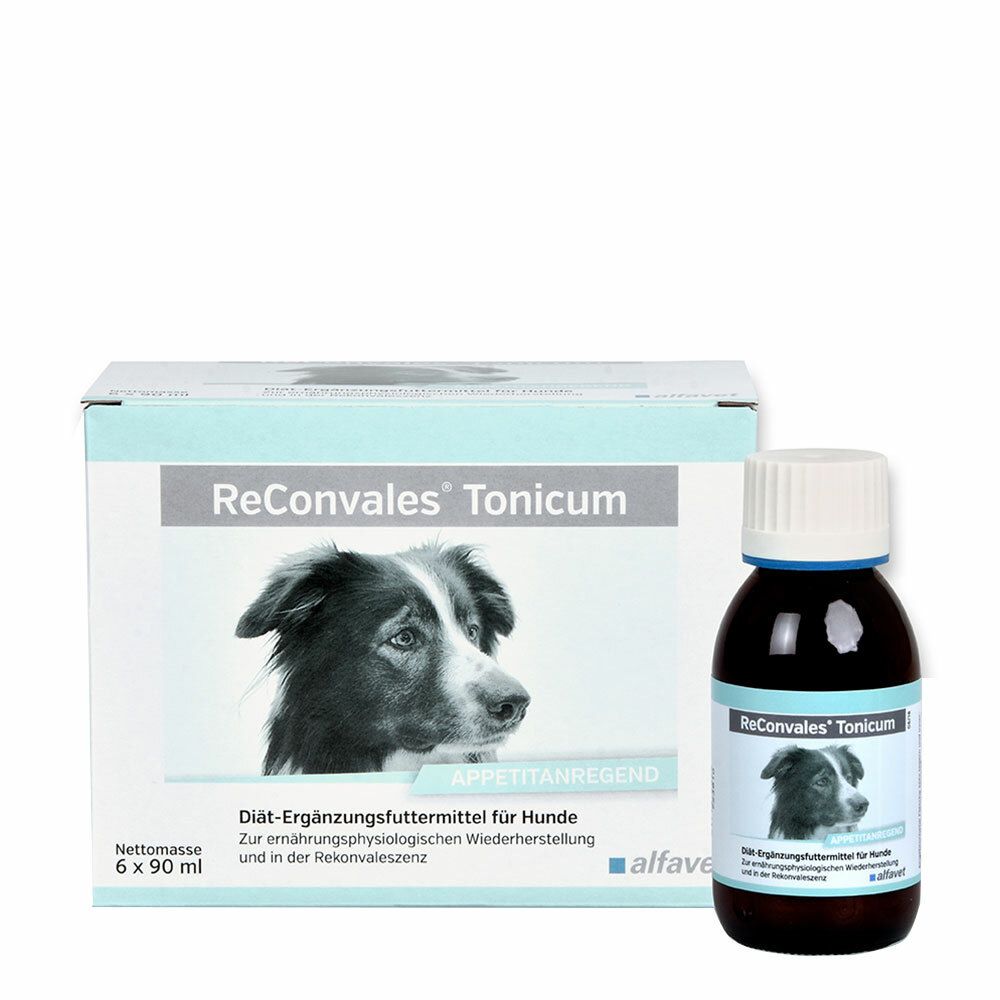 ReConvales® Tonicum für Hunde