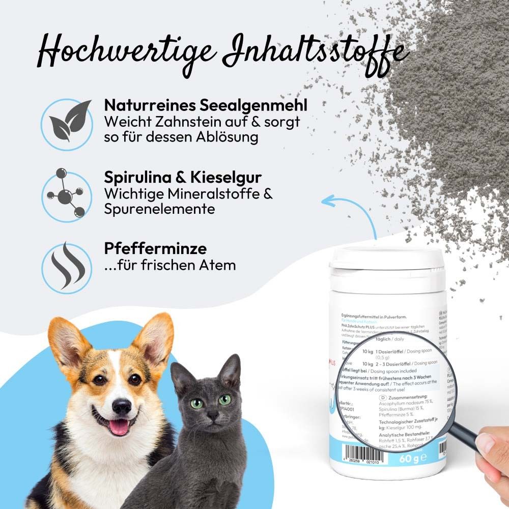Grafik mit Inhaltsstoffen. Seealgenmehl, Spirulina & Kieselgur, Pfefferminze. Dose und Hunde/Katzen.