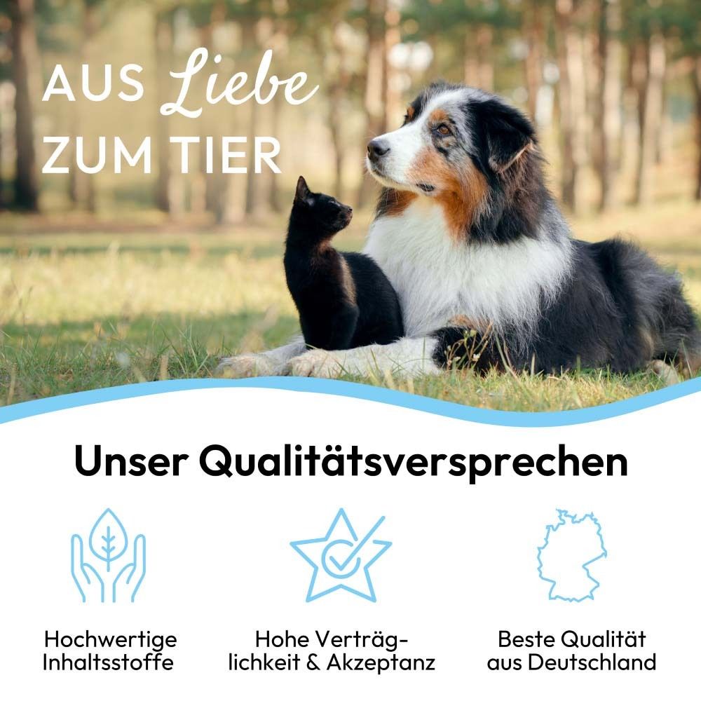 Grafik mit Hund und Katze im Gras. Text: Unser Qualitätsversprechen. Logos: hochwertige Inhaltsstoffe, hohe Verträglichkeit, beste Qualität.