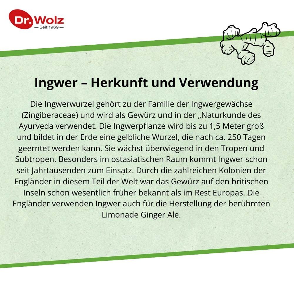 Ingwer-Extrakt