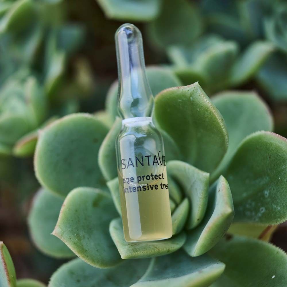 Ampulle auf grüner Pflanze. Gelbliche Flüssigkeit. SANTAVERDE-Logo und Produktbezeichnung sichtbar.