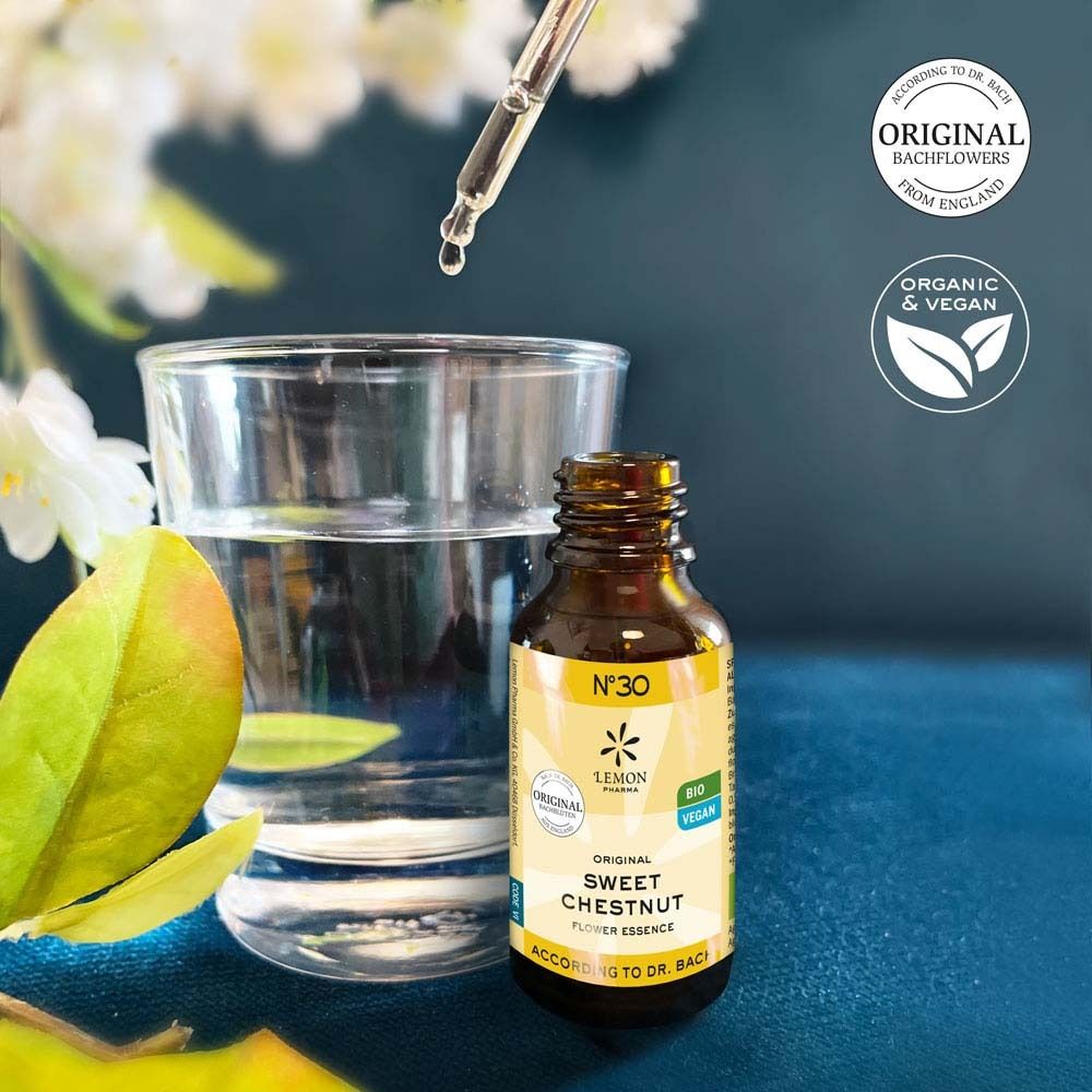 Braune Flasche mit gelbem Etikett neben einem Glas Wasser. Tropfen fallen aus dem Tropfer. Bio-Siegel und Schriftzug: Sweet Chestnut.