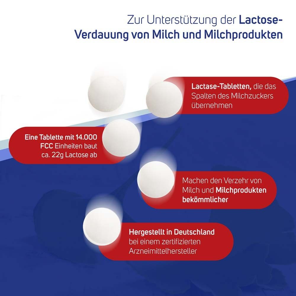 Avitale Lactase 14000 FCC