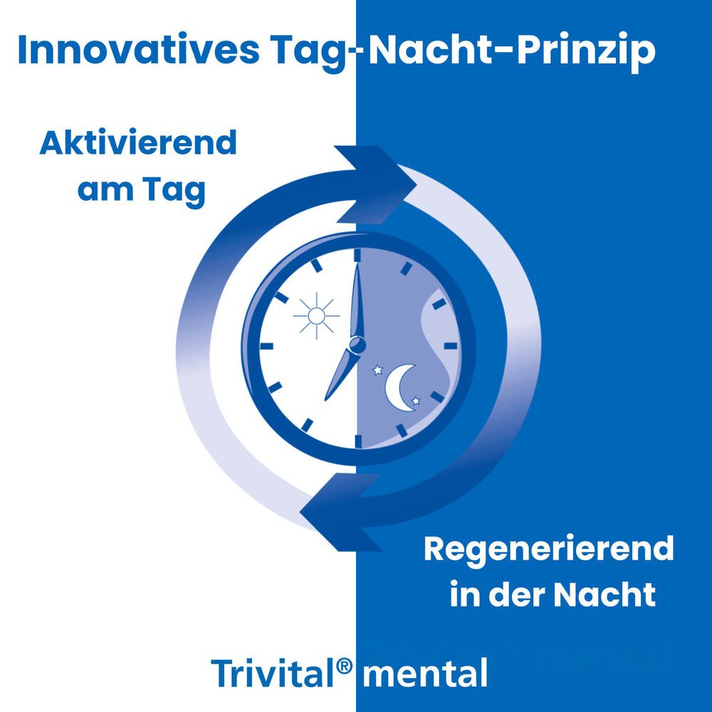 Blaue Infografik. Tag-Nacht-Prinzip. Sonne und Mond-Symbole. Text: Aktivierend am Tag, regenerierend in der Nacht.