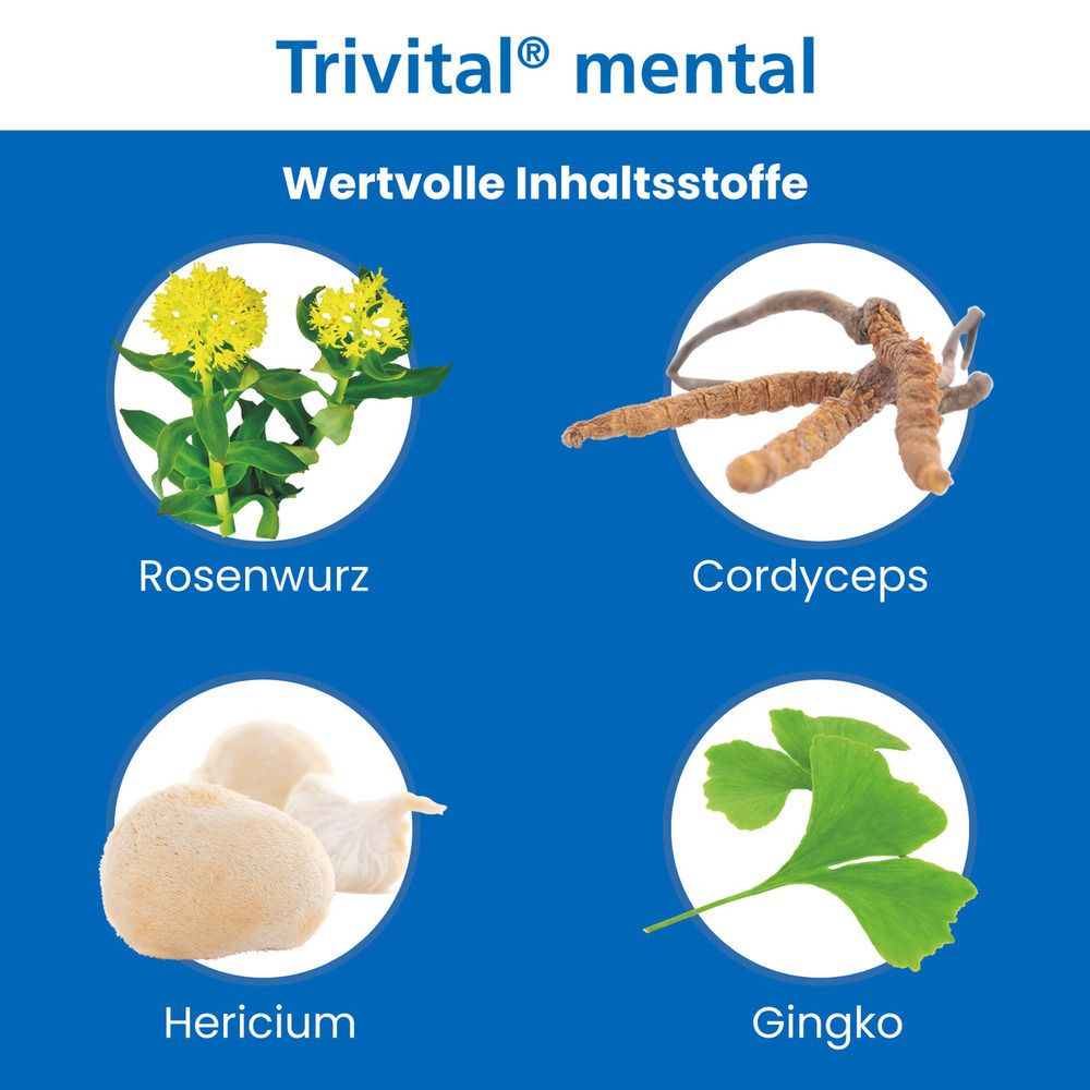 Trivital® mental – trotz Stress fokussiert bleiben