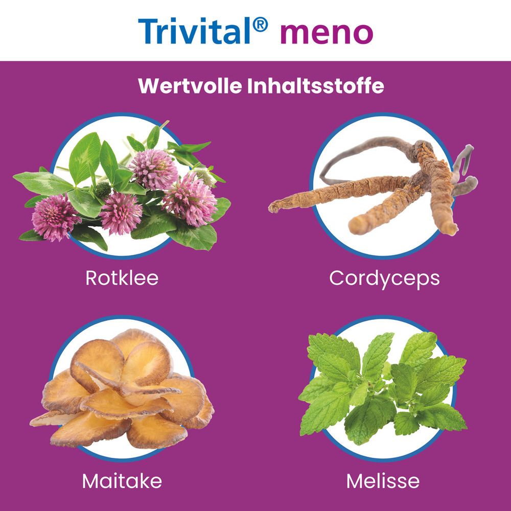 Lila Hintergrund. Abbildungen von Rotklee, Cordyceps, Maitake und Melisse. Text: Wertvolle Inhaltsstoffe.