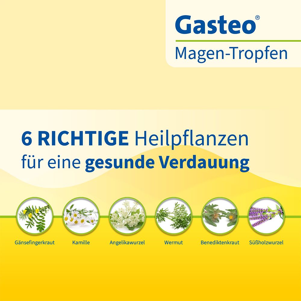 Gasteo® Magen-Tropfen bei Magen-Darm-Beschwerden