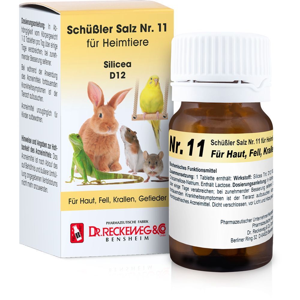Schüßler Salz Nr. 11 für Heimtiere Silicea D12