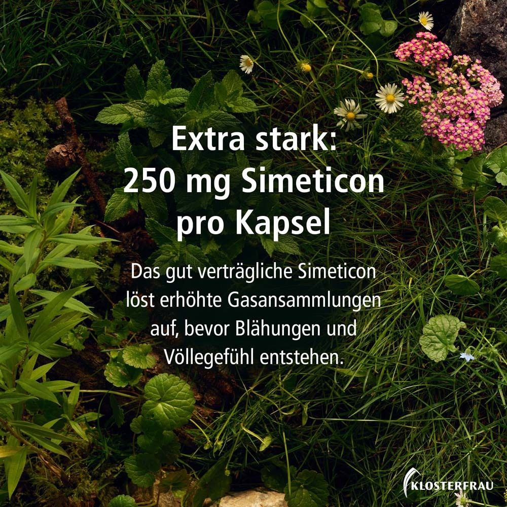 Nahaufnahme von Kräutern und Blüten. Text: Extra stark: 250 mg Simeticon pro Kapsel. Gut verträgliches Simeticon.