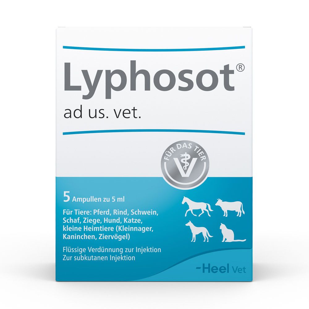 Verpackung mit 5 Ampullen. Aufschrift: Lyphosot ad us. vet. Für Tiere: Pferd, Rind, Schwein, Schaf, Ziege, Hund, Katze, kleine Heimtiere. Heel Vet.
