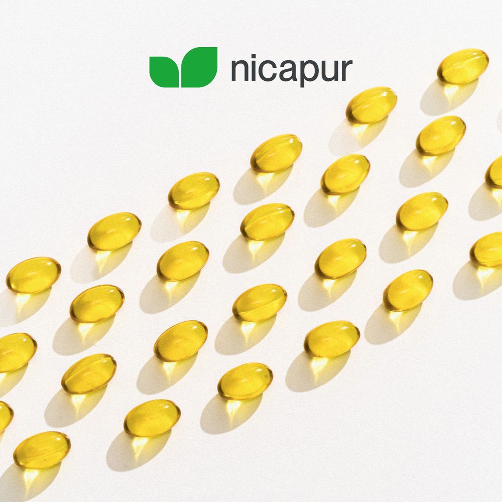 NICApur Omega 3 vegan Kapseln
