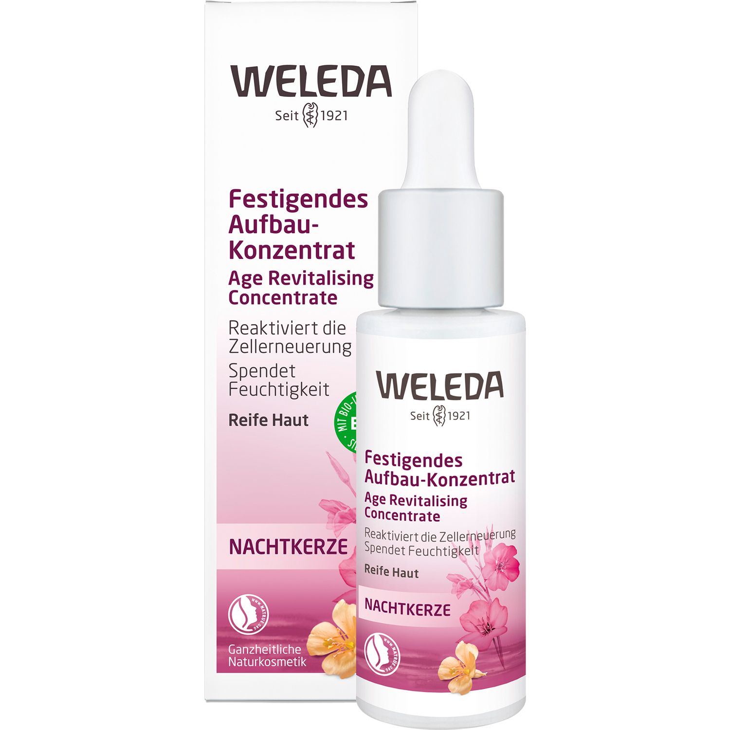 Nachtkerze Festigendes Aufbau-Konzentrat 30 ml Konzentrat
