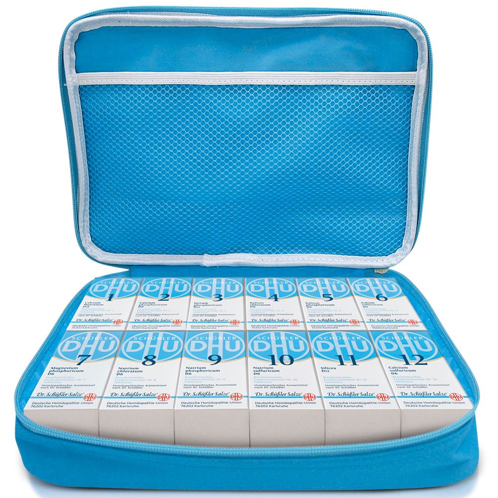 DHU Biochemische Haus- und Reiseapotheke 12x80 St Tabletten