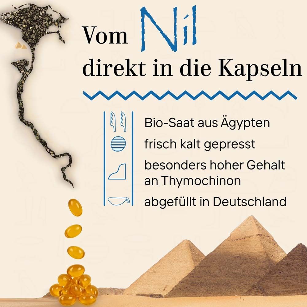 Grafik mit Text: Vom Nil direkt in die Kapseln. Bio-Saat aus Ägypten. Pyramiden und gelbe Kapseln.