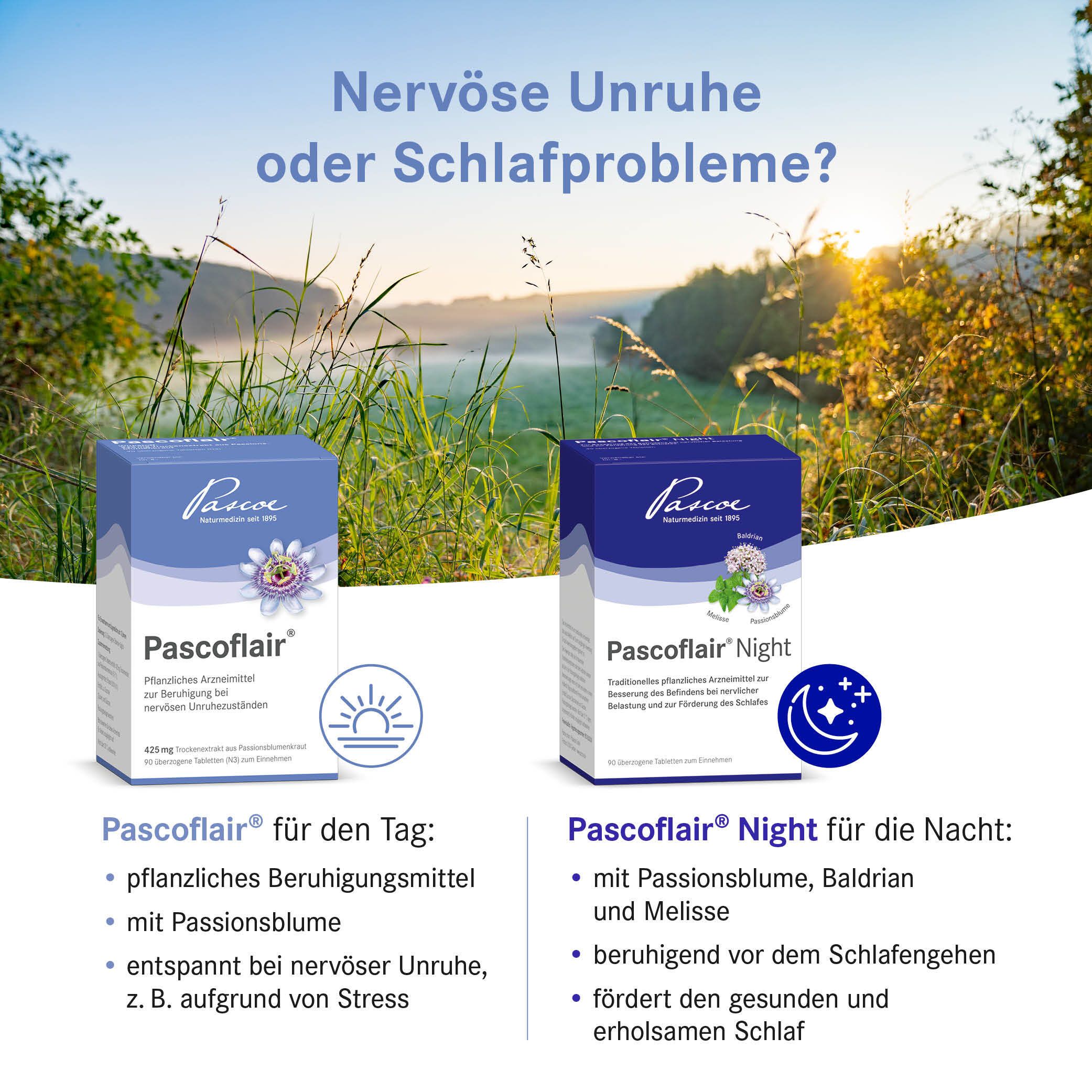 Pascoflair® pflanzliches Beruhigungsmittel mit Passionsblume bei innerer Unruhe z.B. durch Stress