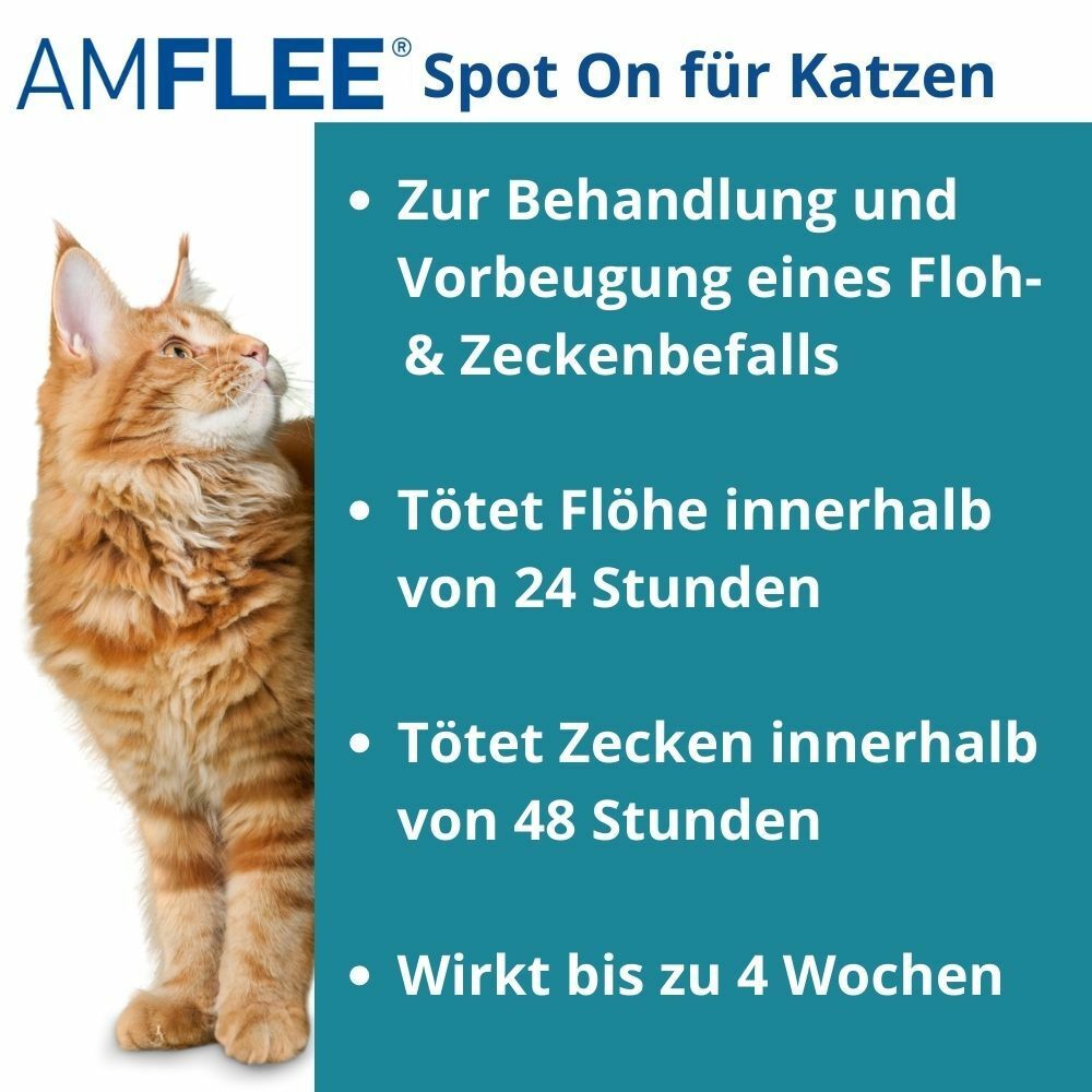 Amflee® 50 mg für Katzen