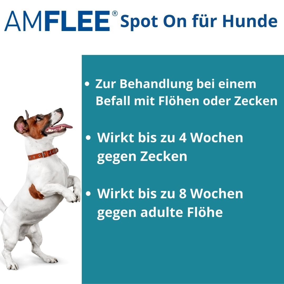 Amflee 134 mg Spot-On Lösung für mittelgroße Hunde