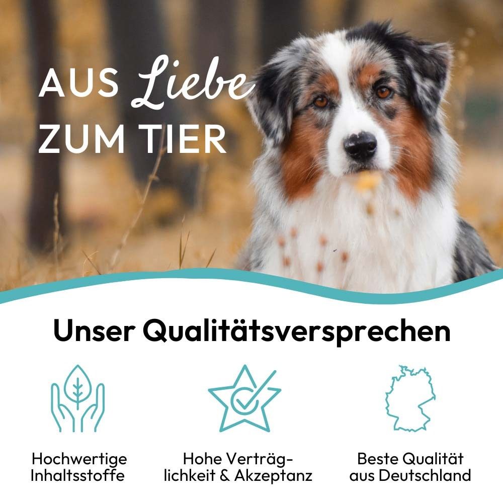Hund vor Hintergrund. Text: Aus Liebe zum Tier. Unser Qualitätsversprechen. Hochwertige Inhaltsstoffe, hohe Verträglichkeit.