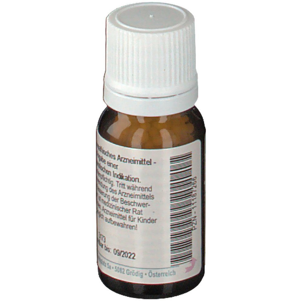 Strychnos nux-vomica D6