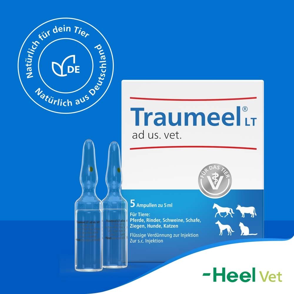 Packung Traumeel® LT ad us. vet. mit Ampullen. 5 Ampullen zu 5 ml. Für Tiere: Pferde, Rinder, Schweine, Schafe, Ziegen, Hunde, Katzen.