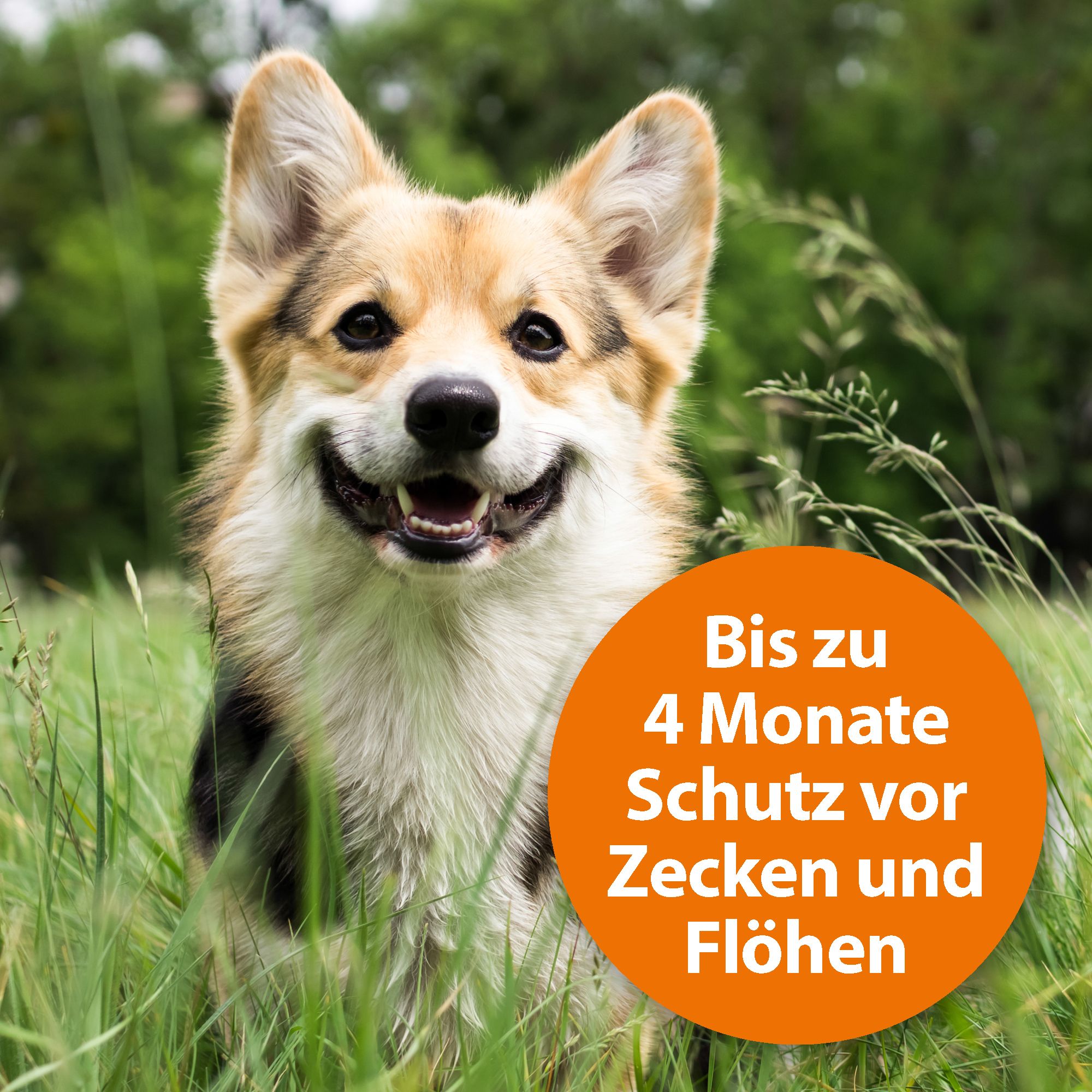 ARDAP® Zecken- und Flohhalsband für mittelgroße Hunde