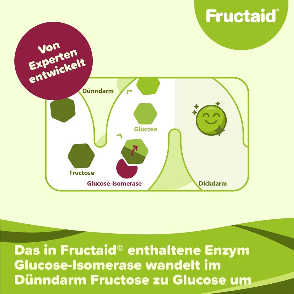 Grafik: Fructose wird im Dünndarm durch Glucose-Isomerase in Glucose umgewandelt. Fructaid-Logo.