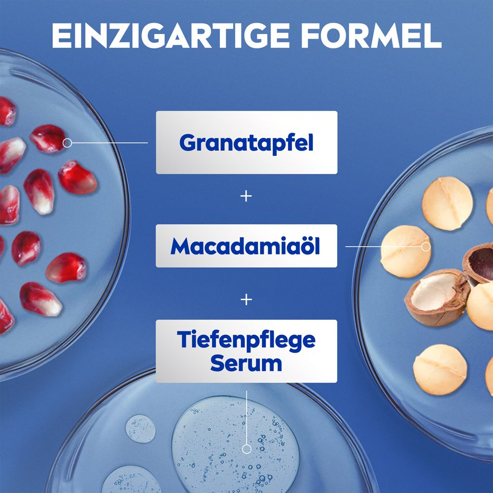 Inhaltsstoffe NIVEA Vital Body Lotion: Granatapfel, Macadamiaöl und Tiefenpflege Serum in Petrischalen.