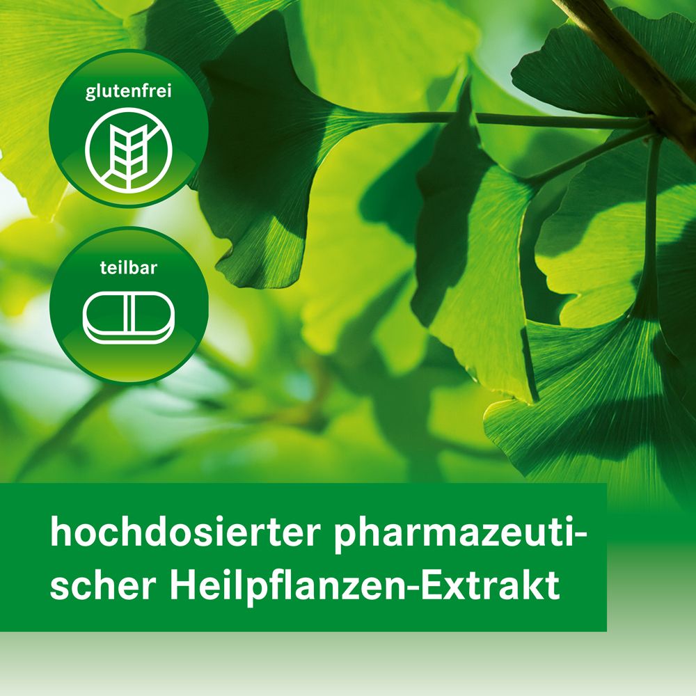 Grüne Ginkgo-Blätter. Kreisförmige Symbole: glutenfrei, teilbar. Text: hochdosierter pharmazeutischer Heilpflanzen-Extrakt.