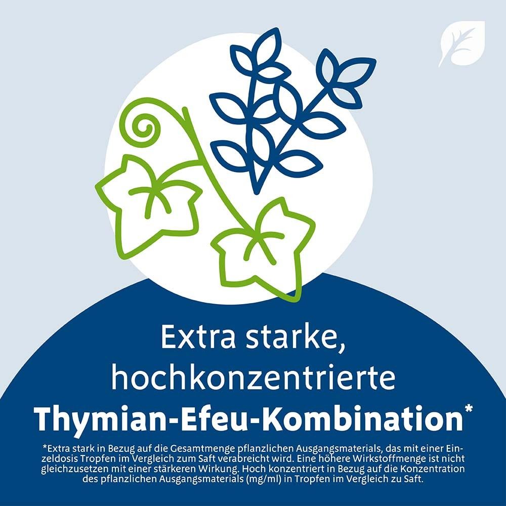 Grafik mit Pflanzenzweigen. Text: Extra starke, hochkonzentrierte Thymian-Efeu-Kombination.