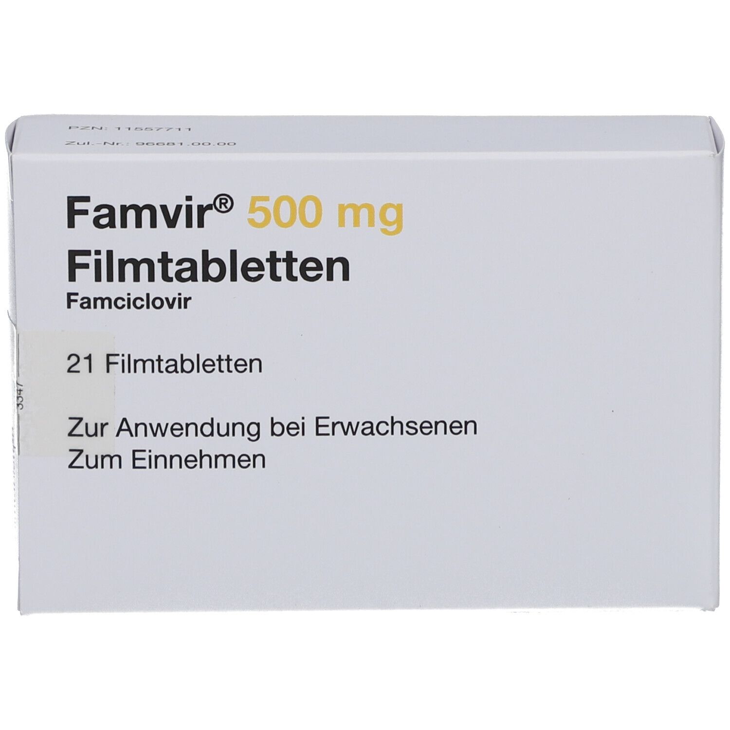 Schachtel mit FAMVIR 500 mg Filmtabletten. Aufschrift: 21 Filmtabletten. Zur Anwendung bei Erwachsenen. Zum Einnehmen.