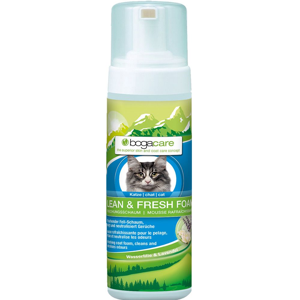 Flasche mit Sprühkopf. Aufschrift: bogacare, Katze, CLEAN & FRESH FOAM. Abbildung einer Katze. Grün-weiße Farbgebung.
