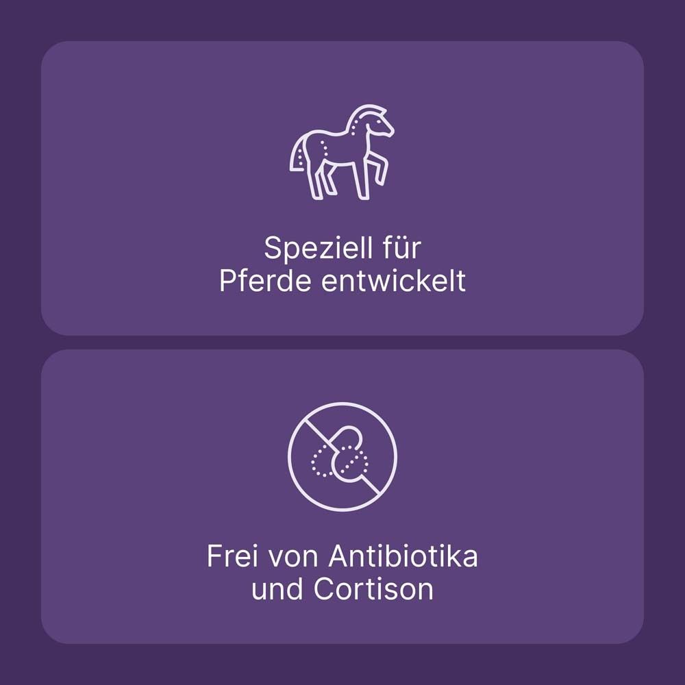 ICHTHO VET® Derma-Creme für Pferde