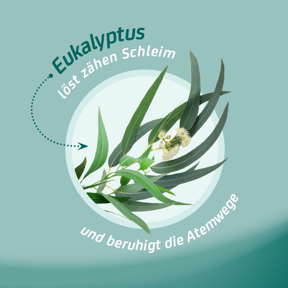 Eucabal® Eukalyptusbad