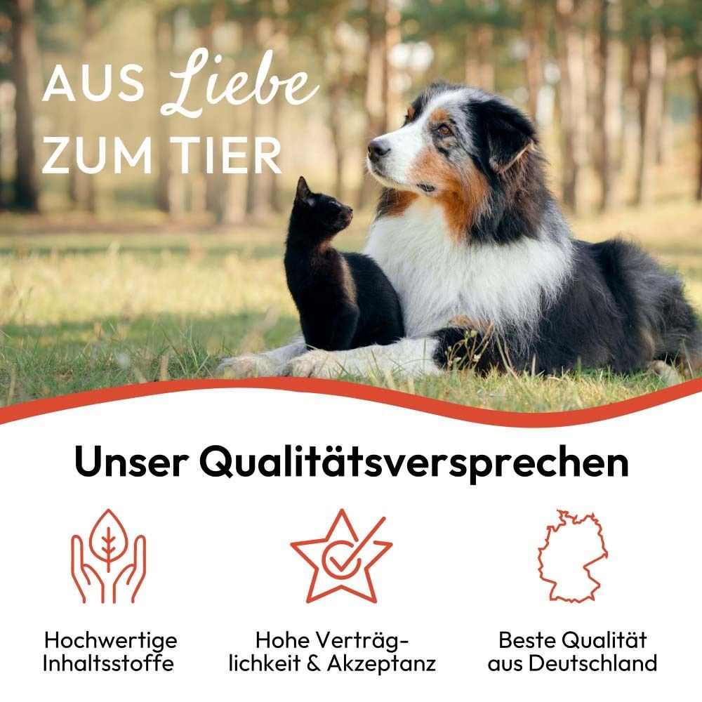 Text und Abbildungen. Text: Unser Qualitätsversprechen. Hochwertige Inhaltsstoffe, hohe Verträglichkeit, beste Qualität.