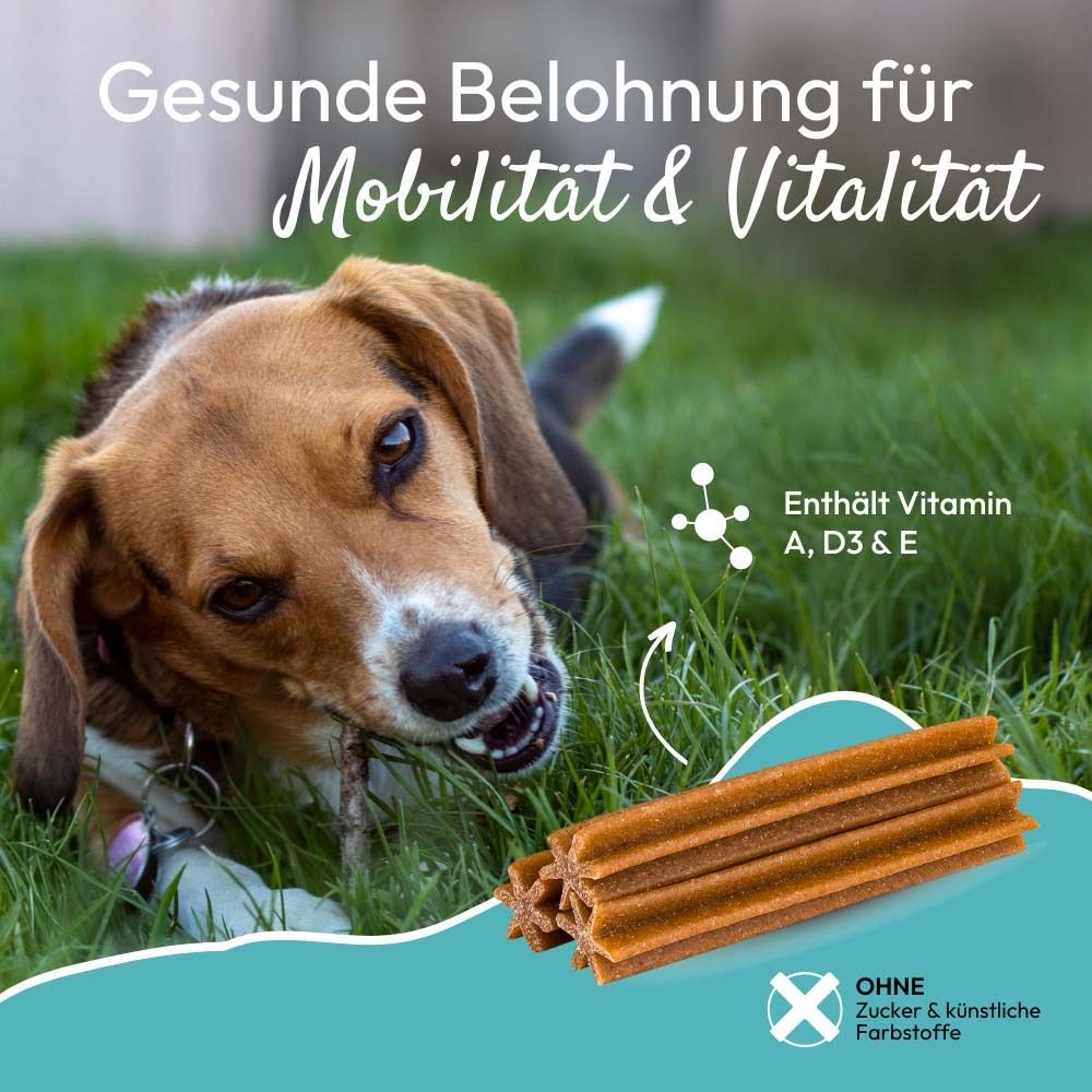 Hund mit Sticks im Gras. Text: Gesunde Belohnung für Mobilität & Vitalität. Enthält Vitamin A, D3 & E.