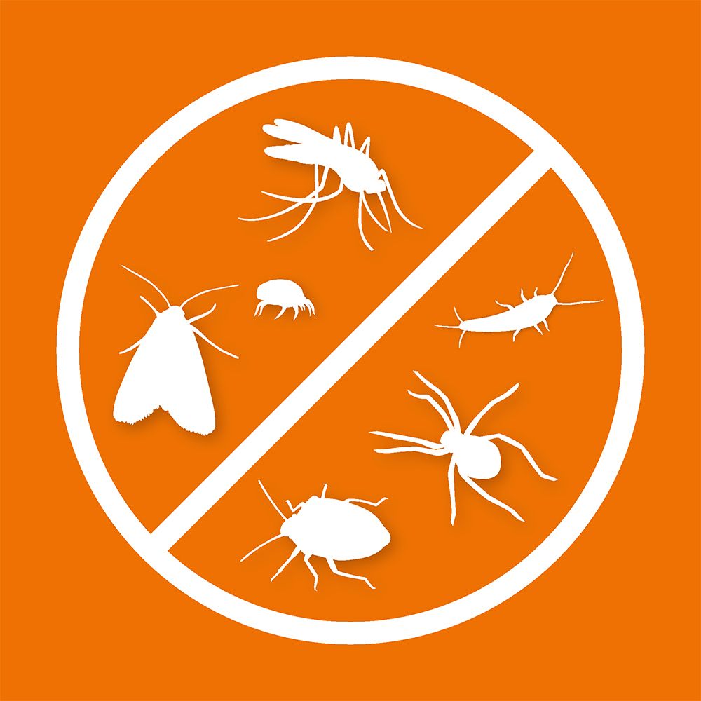 Kreis mit verbotenen Insekten-Silhouetten: Fliege, Milbe, Motte, Spinne, Käfer, Silberfischchen.