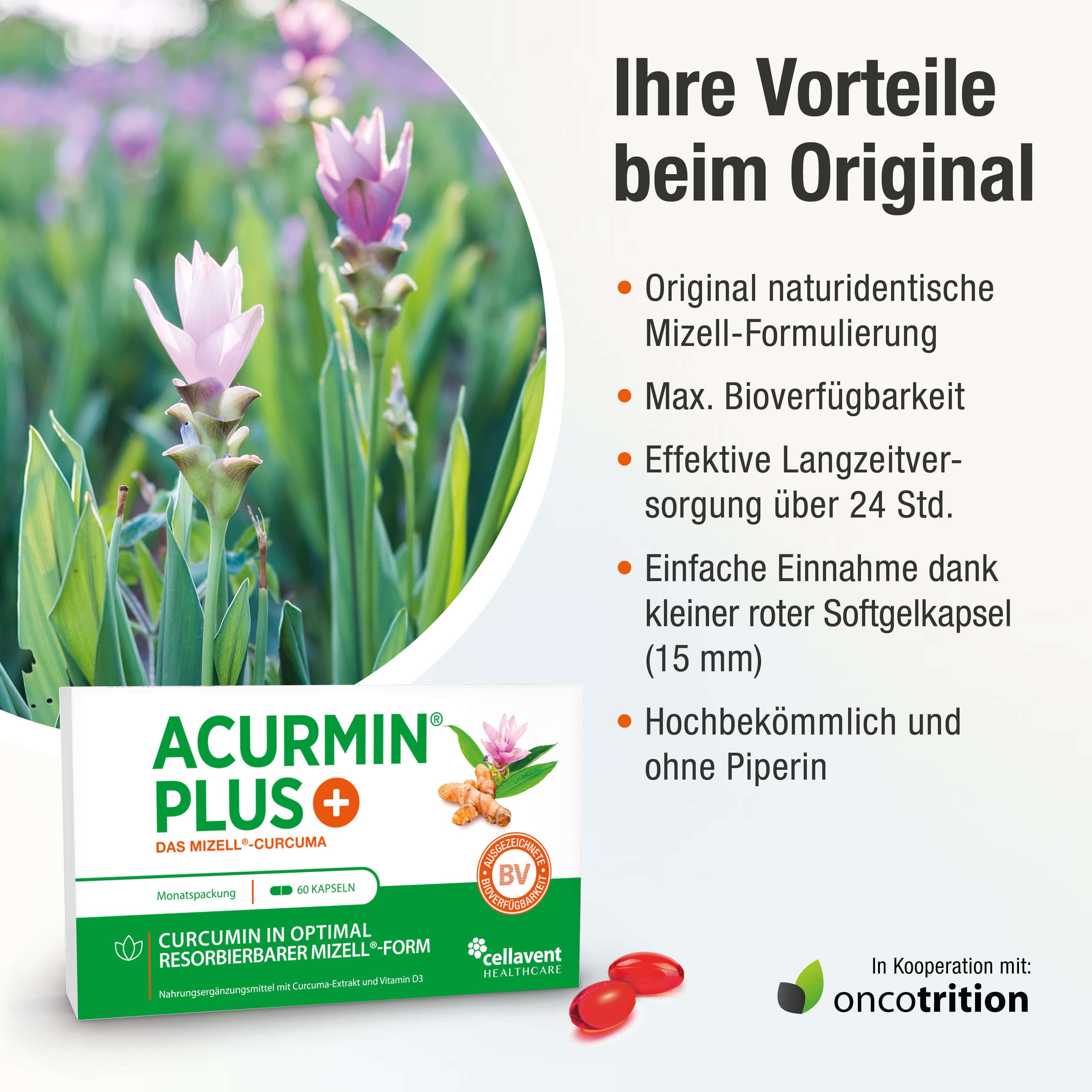 ACURMIN PLUS®+ Das Mizell-Curcuma