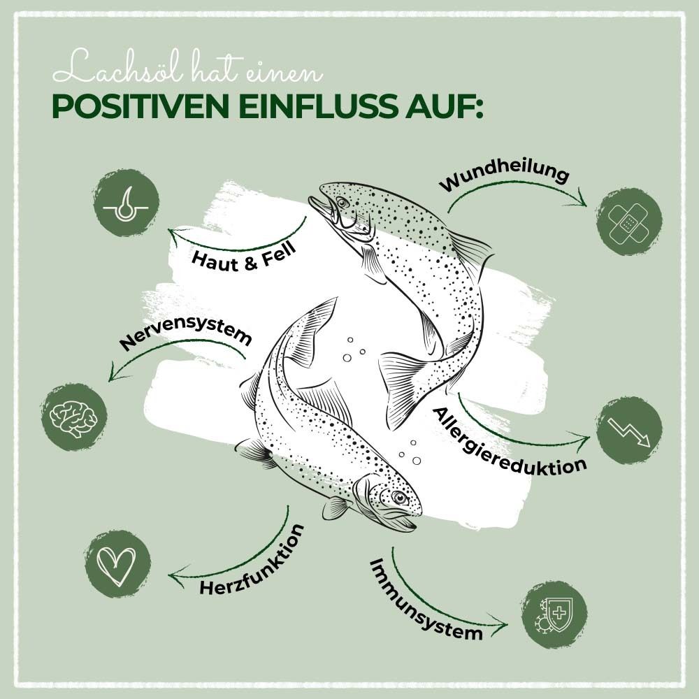 Grafik mit Illustrationen. Zeigt positive Auswirkungen von Lachsöl auf Gesundheit. Illustrationen von Fischen.